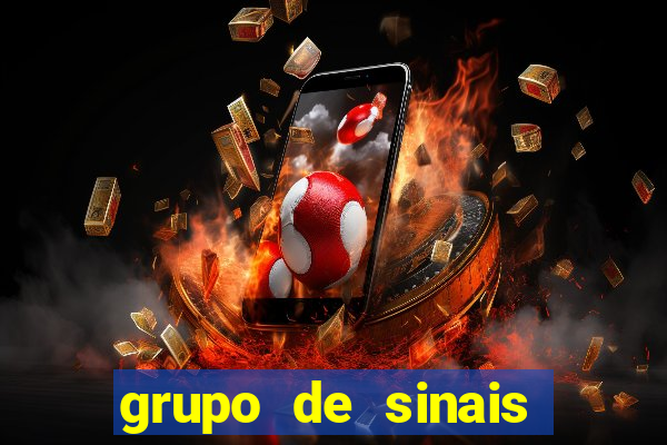 grupo de sinais trader telegram